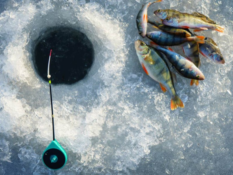Lose Yourself in the Thrill of UK's Ice Fishing Live Casino Games, ice fishing game